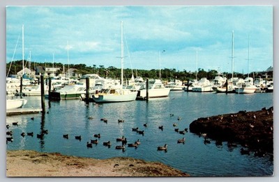 Beautiful Harbor Scene. Cape Cod, Mass Postcard