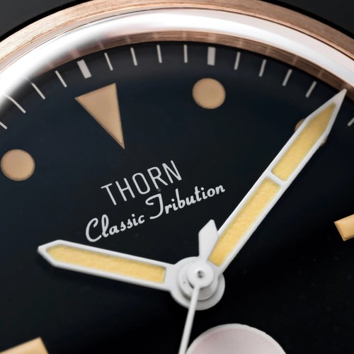 Reloj Automático THORN Fathoms Fifty CUSN8 Bronce NH35 Buzo 200M Higrómetro 40mm - Imagen 10 de 29