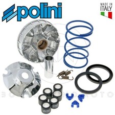 VARIATORE POLINI HI-SPEED PIAGGIO LIBERTY 50 2T SPORT 2007 2008 241.674 / 241674