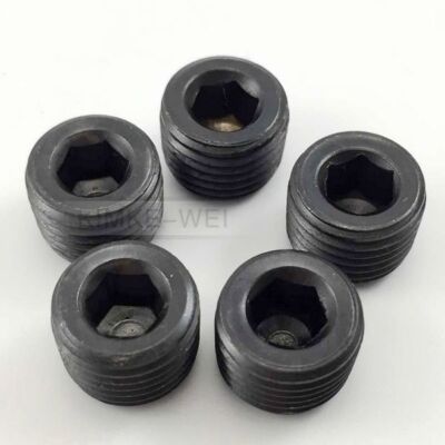 5pcs 1/4''NPT Black Internal Thread Socket Pipe Plug