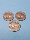 1913 Type 1 P D & S Buffalo Nickels (Dateless) - Free Shipping- A461