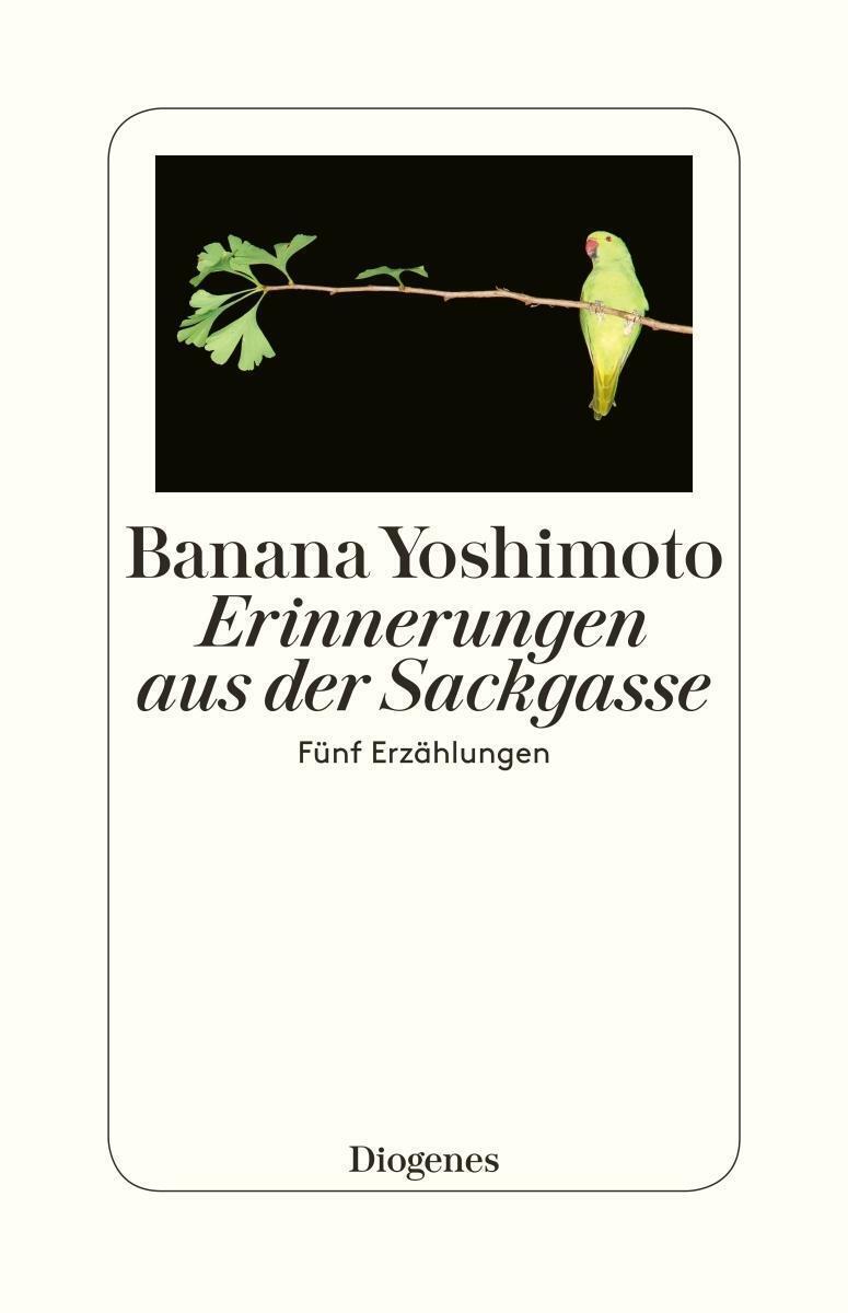 Thumbnail - Erinnerungen Aus Der Sackgasse | Buch | 9783257300567