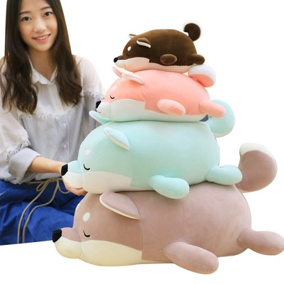 shiba inu características