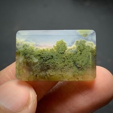 Scenic Moss Agate Cabochon 24x15x5mm High Quality 21 ct