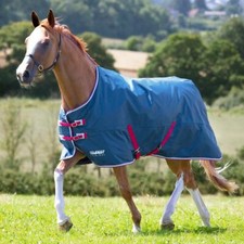 Shires Tempest Original Lite 0g Turnout Rug - Teal