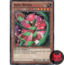 Yugioh Rosenhexe LVAL-DE093 Common NM