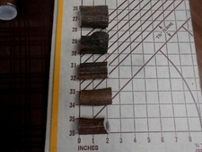 PACKAGE OF 5 CRAFT ANTLER PIECES...natural elk deer whitetail mule moose