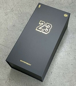 Lebron 1/6 | eBay