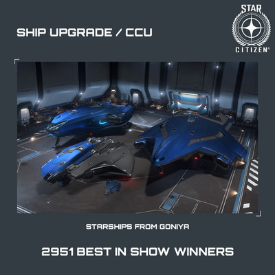 STAR CITIZEN - 2951 BEST IN SHOW WINNERS UPGRADE - (CCU)
