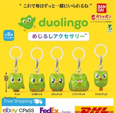 duolingo marker zubehör 5er Set komplett / Kapselspielzeug / NEU JP