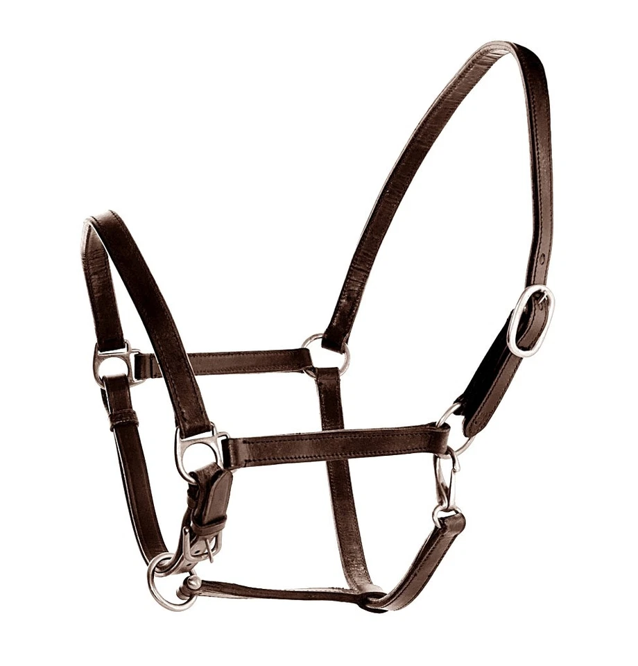 Halsband Für Pferde Aus Leder - Bild 1 von 1