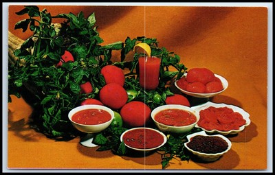 Postcard California Tomato Products Premier Quality   D67