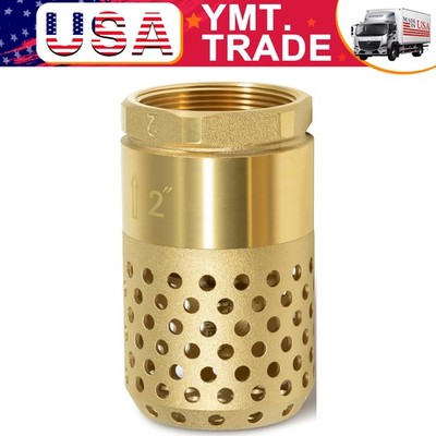 2-Inch Brass Foot Valve with Mesh Strainer for Irrigation and Water Pump Systems