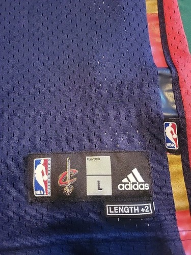Lebron James Adidas Swingman Jersey Blue Cleveland Cavaliers Large - Picture 2 of 10