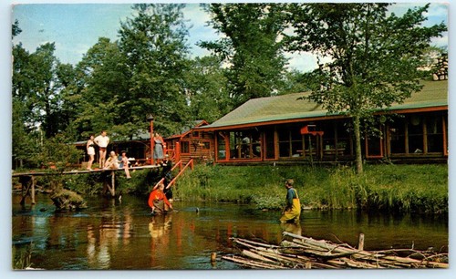 BALDWIN, Michigan MI ~ Roadside HURLEY'S LODGE Cottages 1968 Fishing Postcard - 第 1/2 張圖片