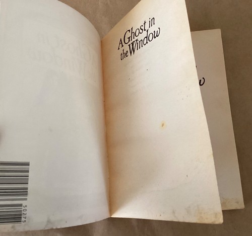 A Ghost in the Window 1987 Vintage Taschenbuch YA gruselig Betty Ren Wright 80er - Bild 9 von 9