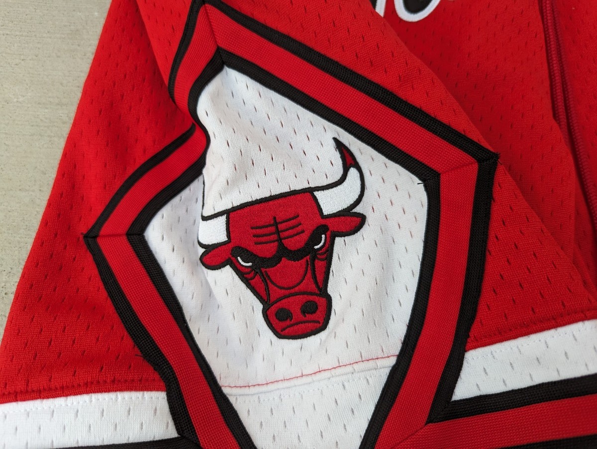 NWOT MITCHELL & NESS JUST DON CHICAGO BULLS AUTHENTIC NBA SHORTS sz L LARGE View 3