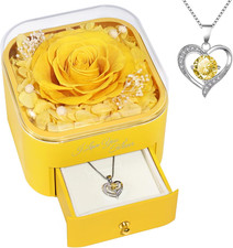 Birthday Gifts for Women Preserved Real Rose with Necklace Eternal Roses Forever
