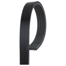 Gates Keilrippenriemen A0049930896 21210910