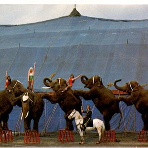 1979 Circus Vargas Complimentary Ticket Coliseum Riverside Drive Austin Texas