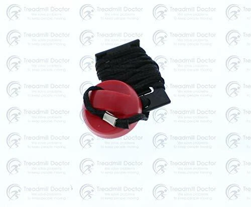 Weslo cadence g 5.9 treadmill key hot sale