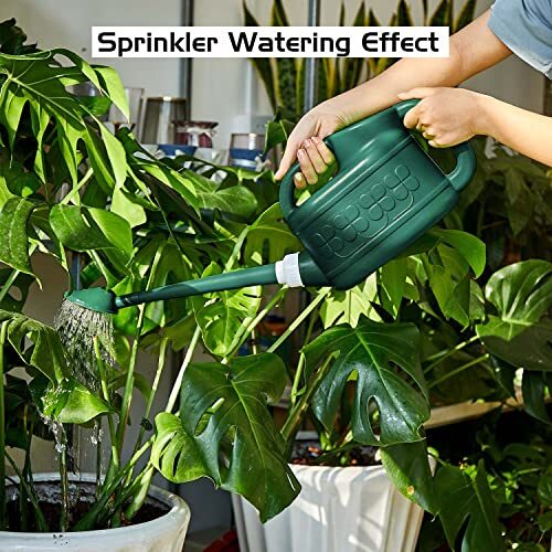 1 Gallon Garden Watering Can Plant Sprayer with Long Spout and Sprinkler Head - Picture 4 of 7