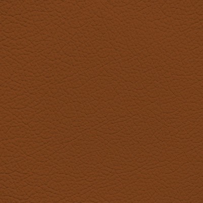 GM Kalahari Leather Dye