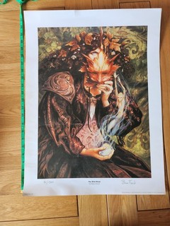 Brian Froud The Wild Wood Signed 82 /1500