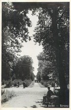 B586 Romania Transylvania Bihor Baile Felix photographic postcard c.1943
