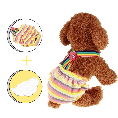 Culotte Hygiénique Réglable Pour Chienne - Lavable, Réutilisable - Protection Chaleurs, Incontinence - Taille L, Vert - Matière Respirante