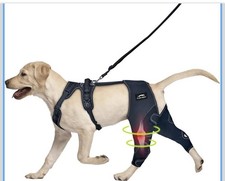 Dog Knee Brace w/ Cruciate Ligament Injuries ACL w/harness  leash Size Medium