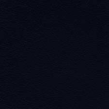 GM Dark Montana Blue Leather Dye