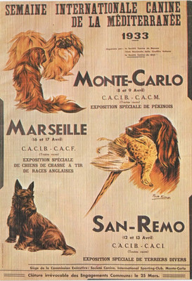 MONACO -- MONTE CARLO -- Monegassisch -- CPSM -- Internationale Hundewoche
