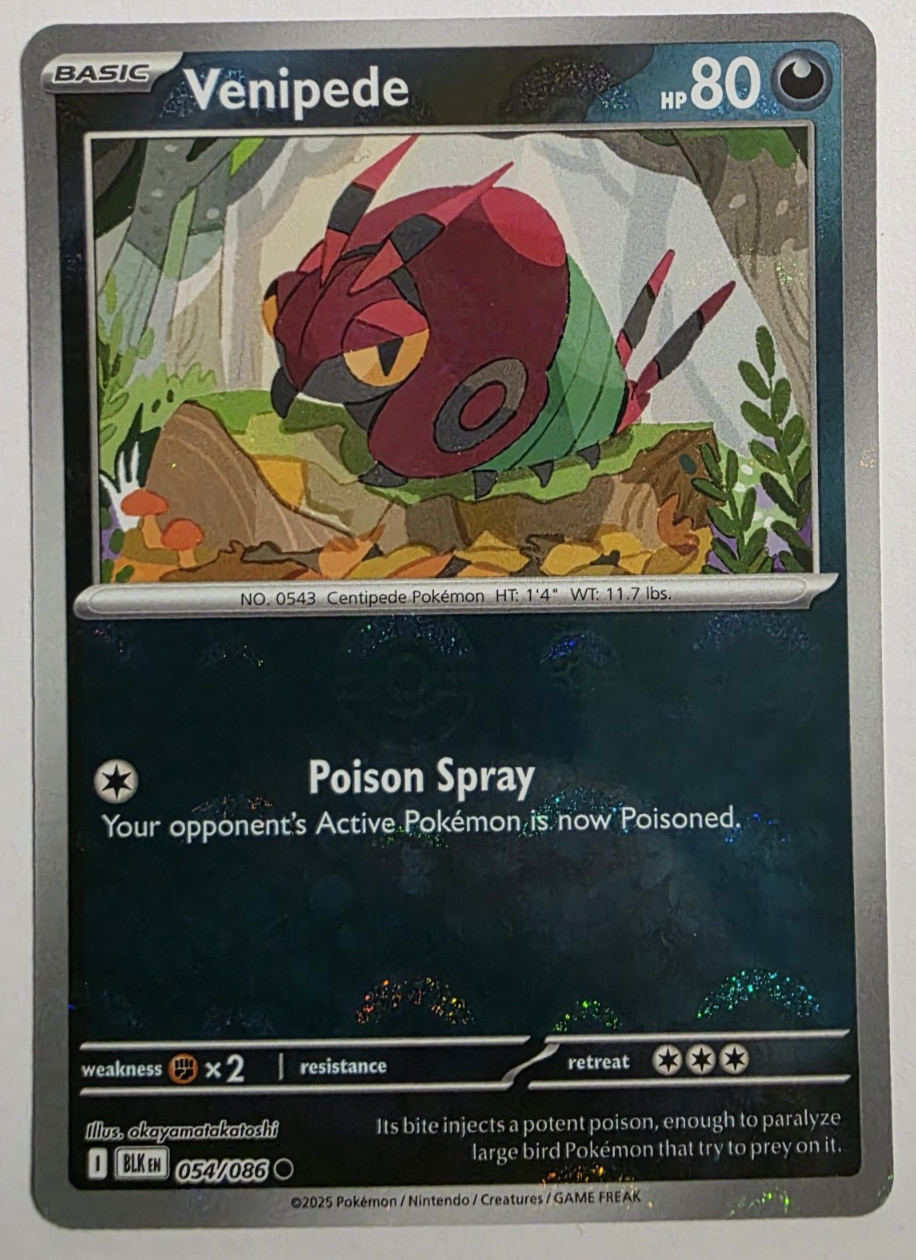Venipede (Poke Ball Pattern) 054/086 Common Holo NM Pokemon SV: Black Bolt