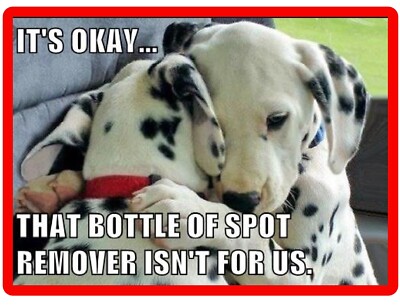 Funny Dog Dalmatian Spot Remover Refrigerator / Magnet Gift Card Insert