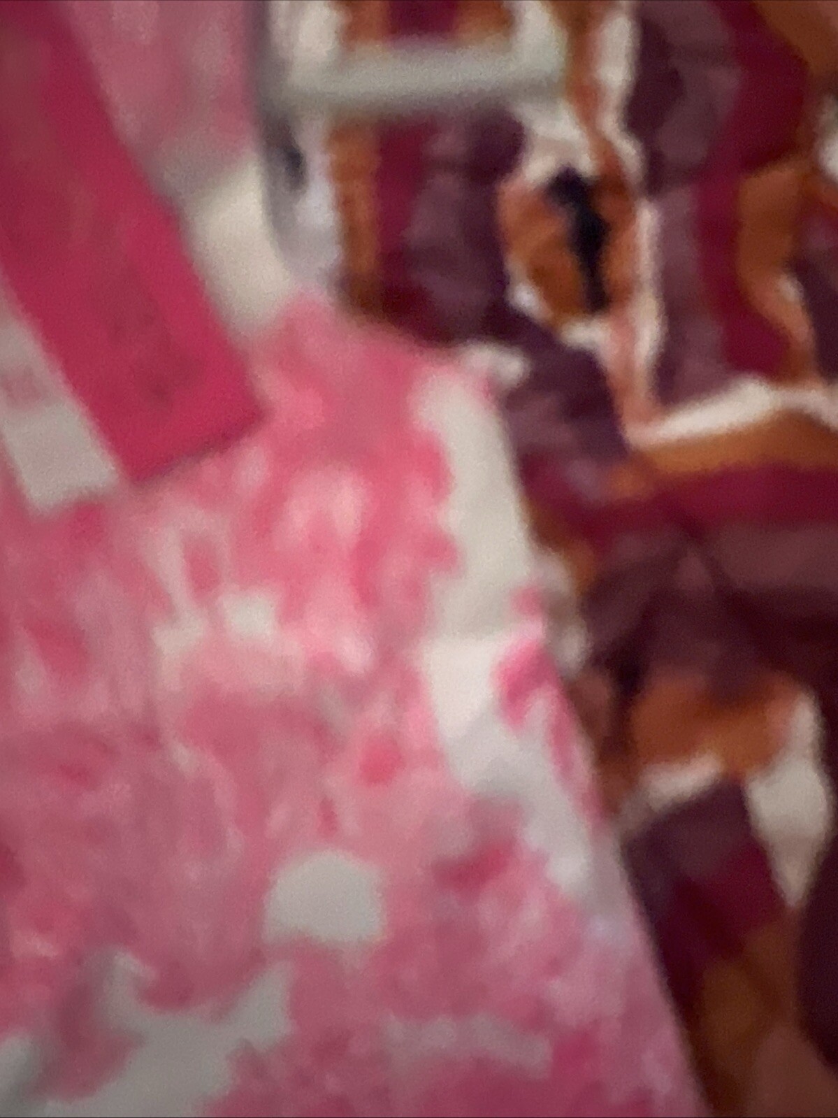 Foto 2 di 7