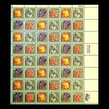 TOURMALINE, AMETHYST, PETRIFIED WOOD, RHODOCHROSITE    