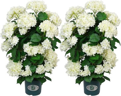 Artificial Hydrangea Tree 30in 2 Pack White Pot Flowers