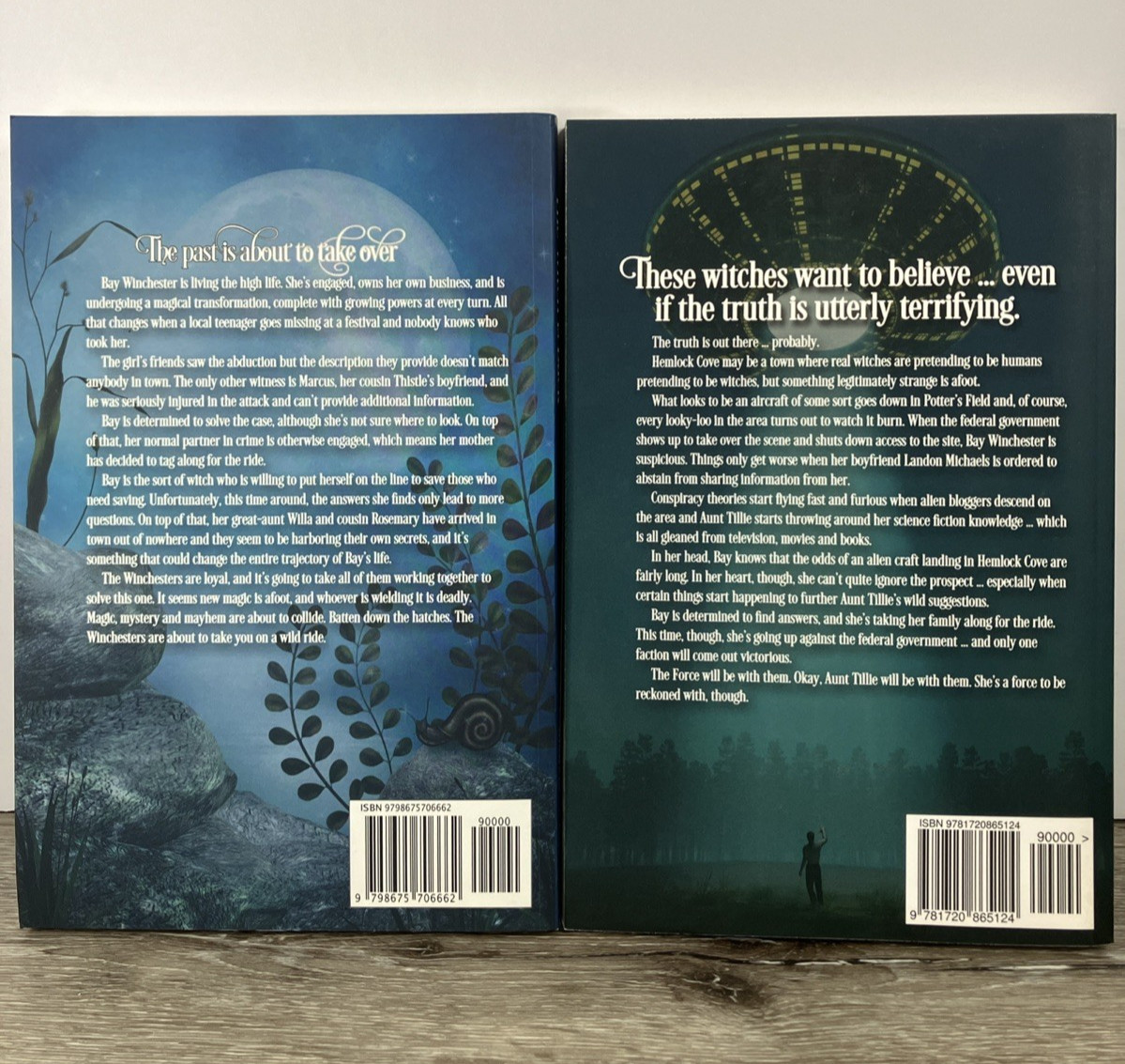 A Wicked Witches of the Midwest Mystery & Fantasy  Amanda M. Lee 24 PB Novels thumbnail 22