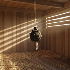Hanging Carrot Feeder Encourages Natural Foraging Stable Boredom Reliever