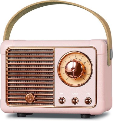 PRUNUS J-999 Mini Bluetooth Lautsprecher mit UKW Radio, Retro Radio Bluetooth Speaker