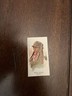 1888 N2 Allen & Ginter Bull Head American Indian Chiefs