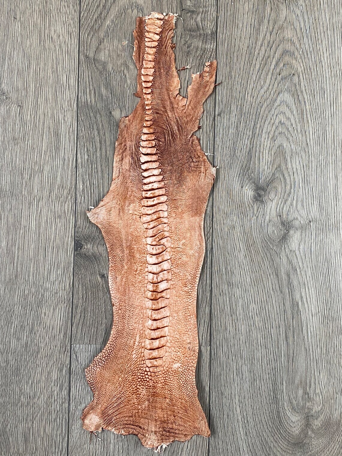 Picture 2 of 6