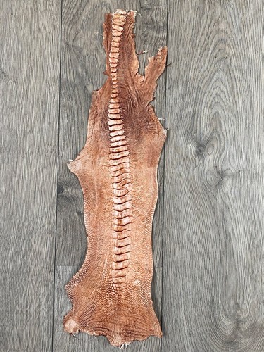 GENUINE OSTRICH LEG SKIN LEATHER HIDE EXOTIC LEATHER - Picture 2 of 6
