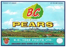 ORIGINAL PEAR CRATE LABEL CANADA BRITISH COLUMBIA 1950S B.C. CAWSTON KELOWNA 