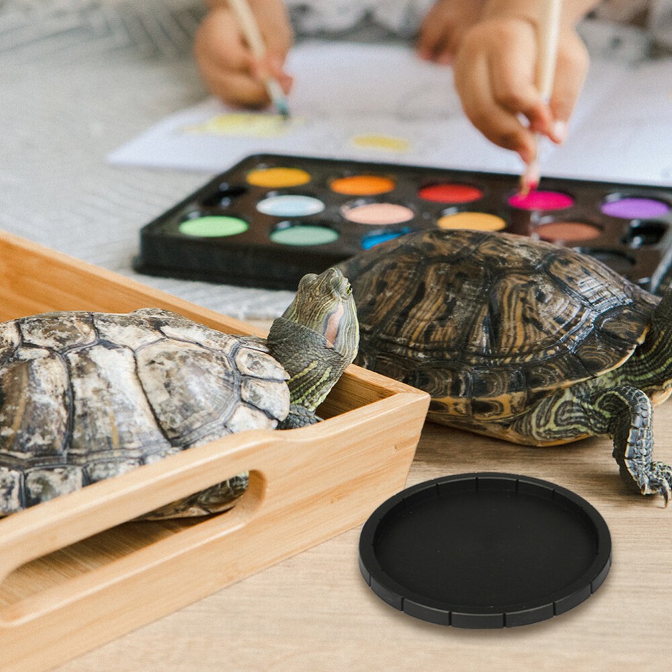 2 Pcs Reptile Bowl Bearded Dragon Water Dish Reptichip Reptiles eBay