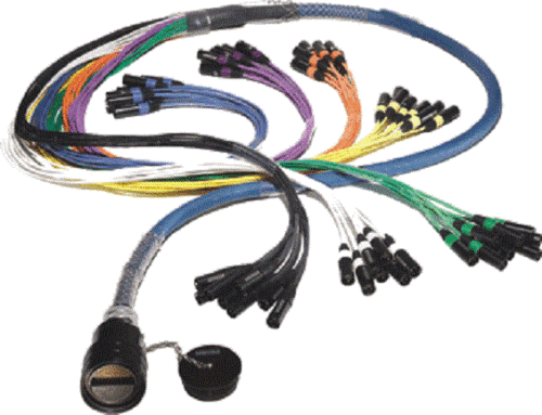 Whirlwind FM 58 Channel Concert Splitter Snake with Fanout 48X10 to W4IRP 100 ft - Picture 1 of 2