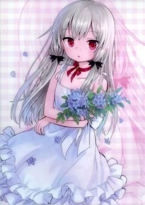Clear file Sophie Twilight newly drawn A4 clear file ''Comics The Vampire Next