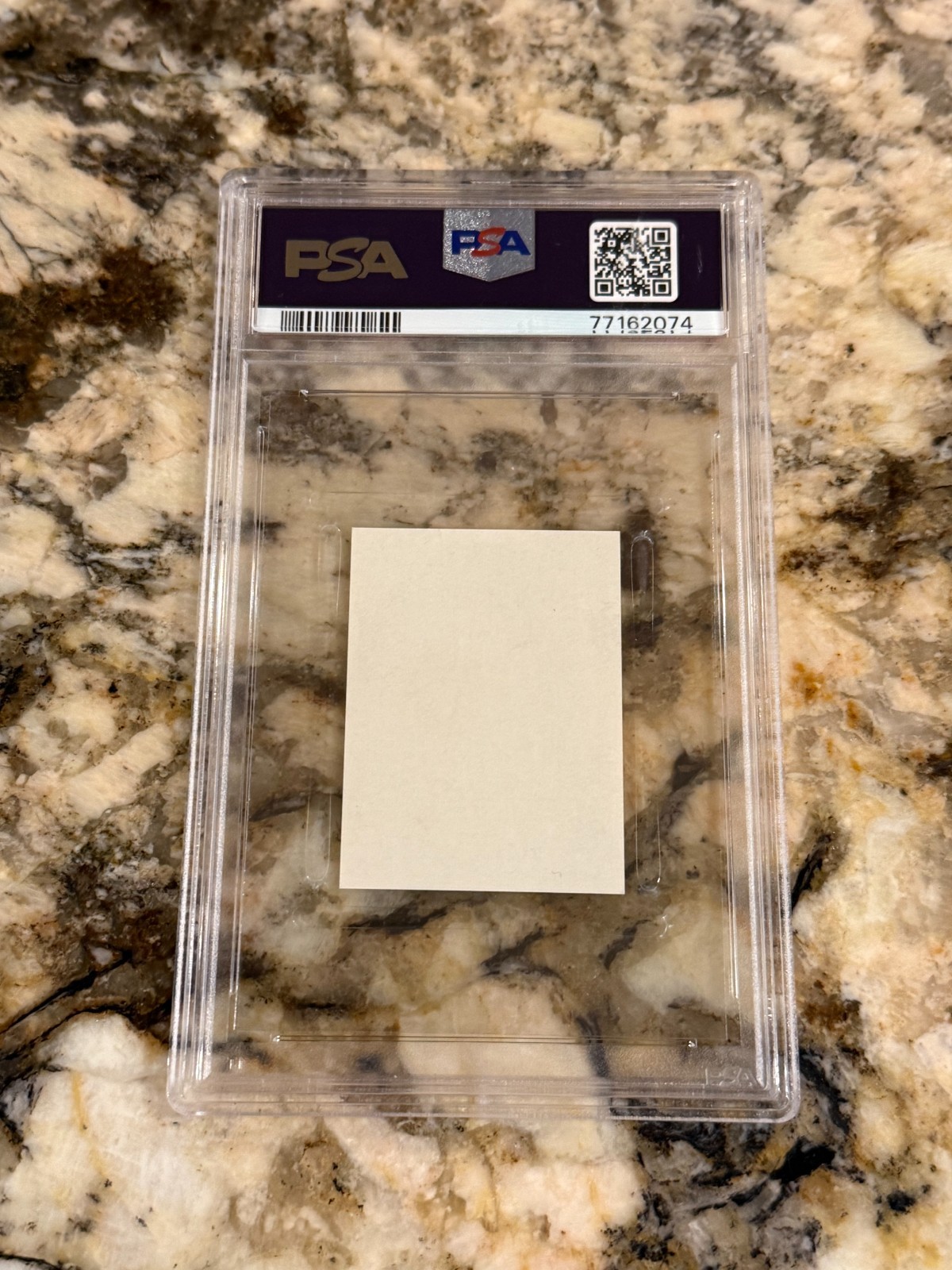 Ted Williams 1955 All American Sports Club #280 PSA 8 Freshly Graded Centered view 2