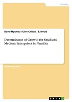 Determinants Of Growth For Small And Medium Enterprises In Namibia David Mpunwa